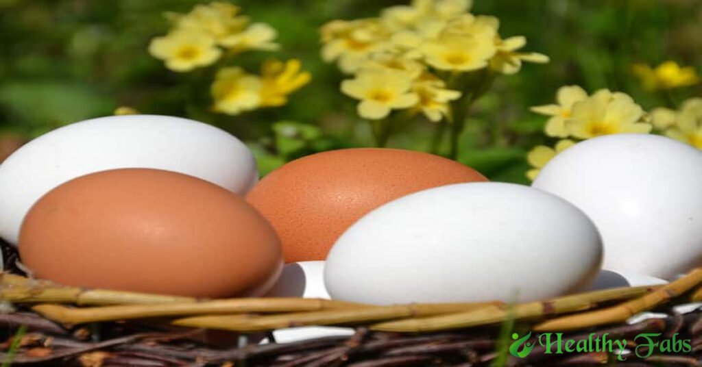 Brown Eggs Vs White Eggs: Which One is Better?