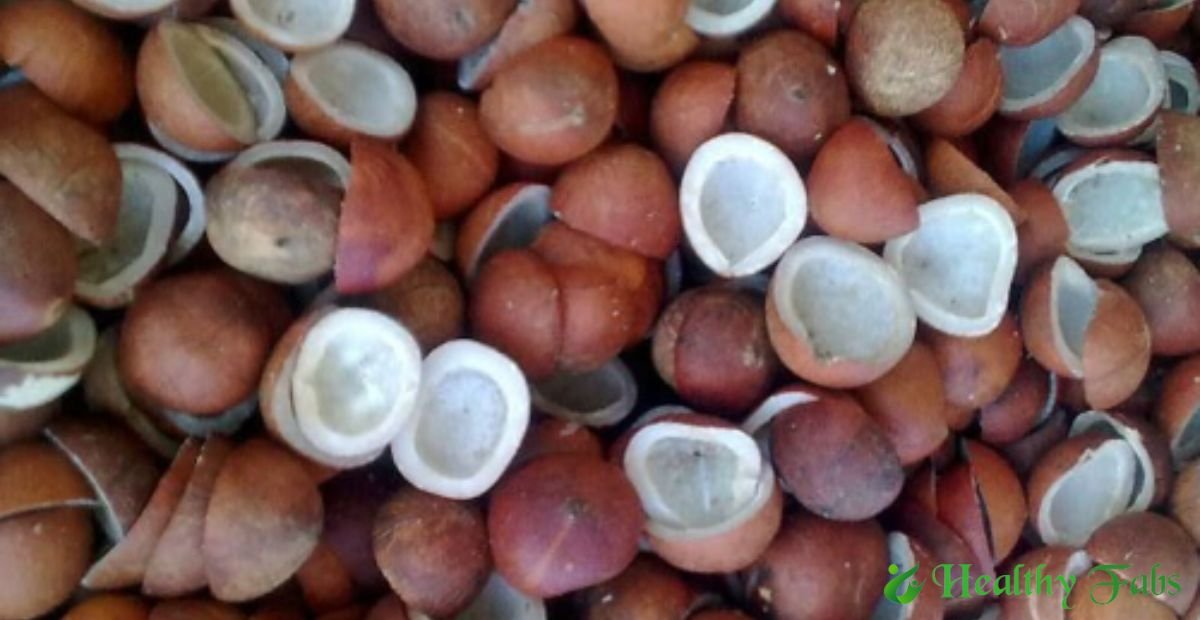 Nutrition Benefits of Dry Coconut