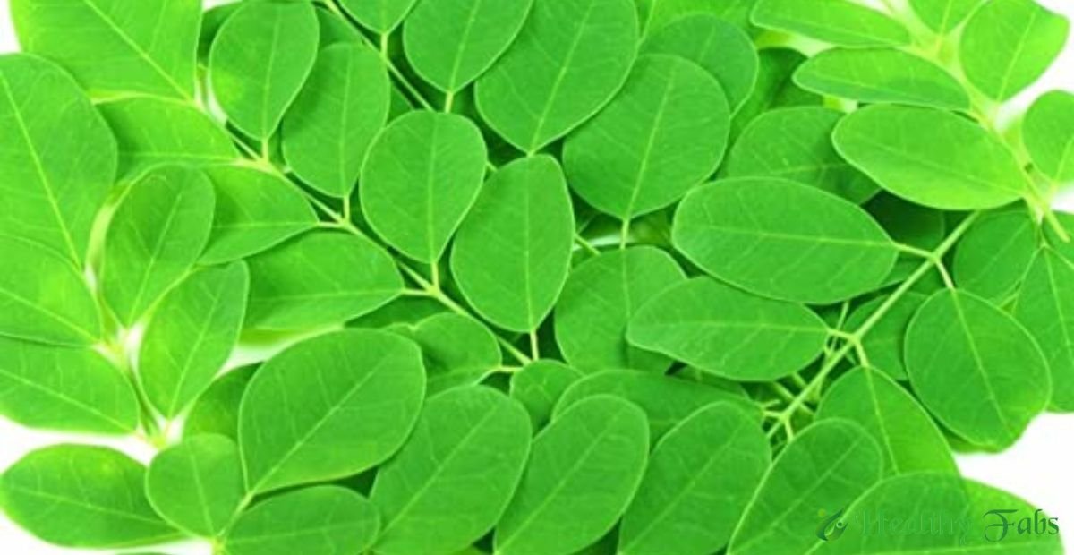 Health Benefits of Drumstick Leaves