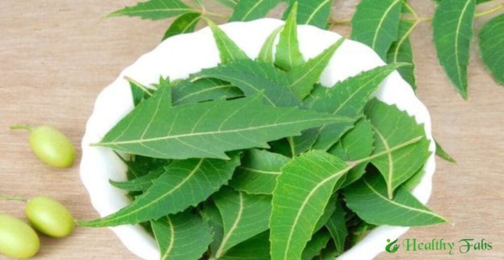 Benefits of Neem Leaves