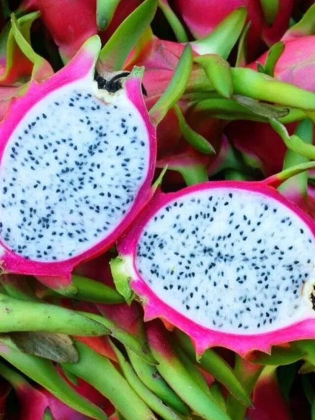 Dragon fruit slice with vibrant pink pitaya