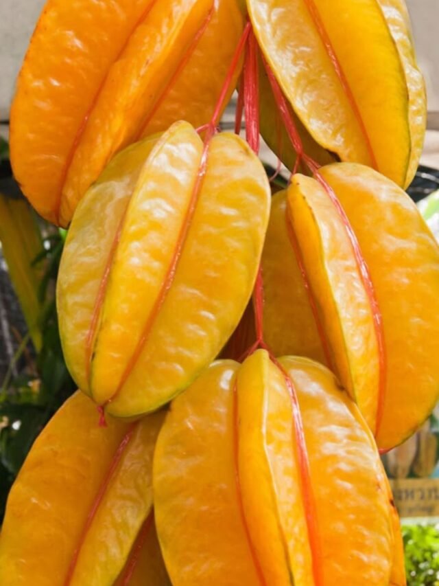 Star fruit nutrition, health benefits
