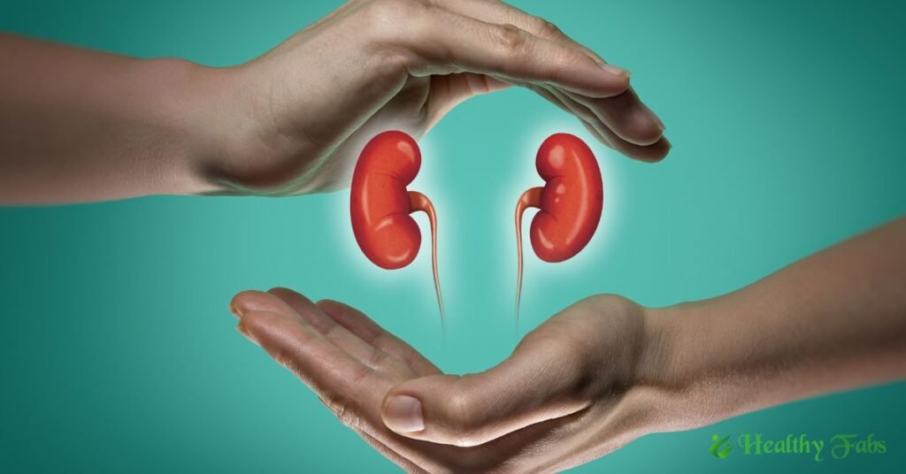 Illustration of human kidneys showing warning signs such as swelling, discoloration, and pain with the Telugu text "Kidney Disease Warning Symptoms".