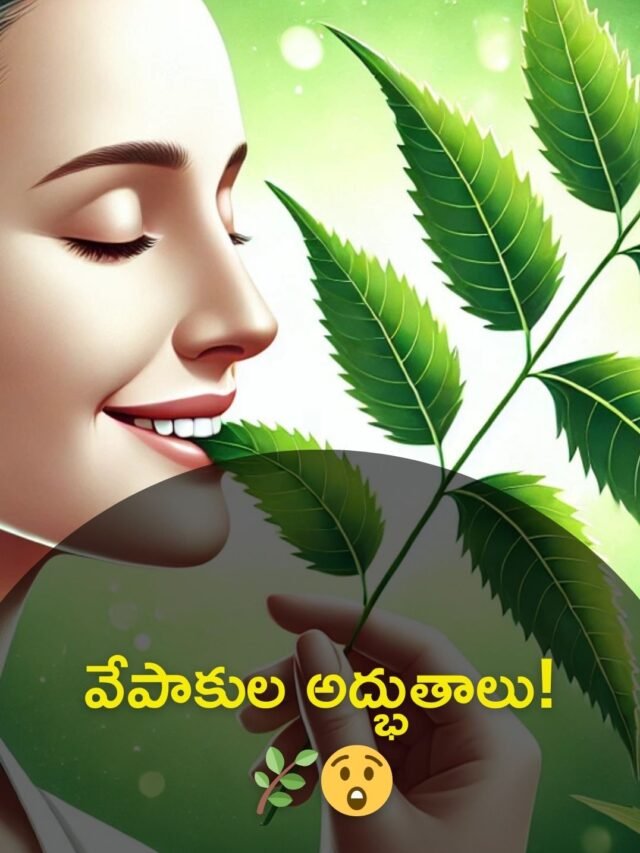 Fresh neem leaves showcasing natural health benefits