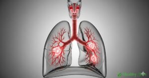 3D transparent illustration of the human respiratory system